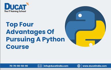 What is Python and Why It Is So Popular Nowadays