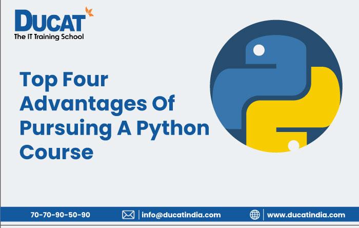 What is Python and Why It Is So Popular Nowadays
