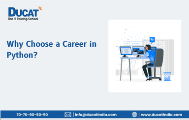 What is Python and Why It Is So Popular Nowadays