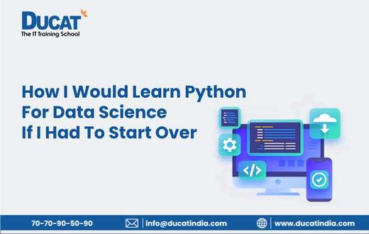 What is Python and Why It Is So Popular Nowadays