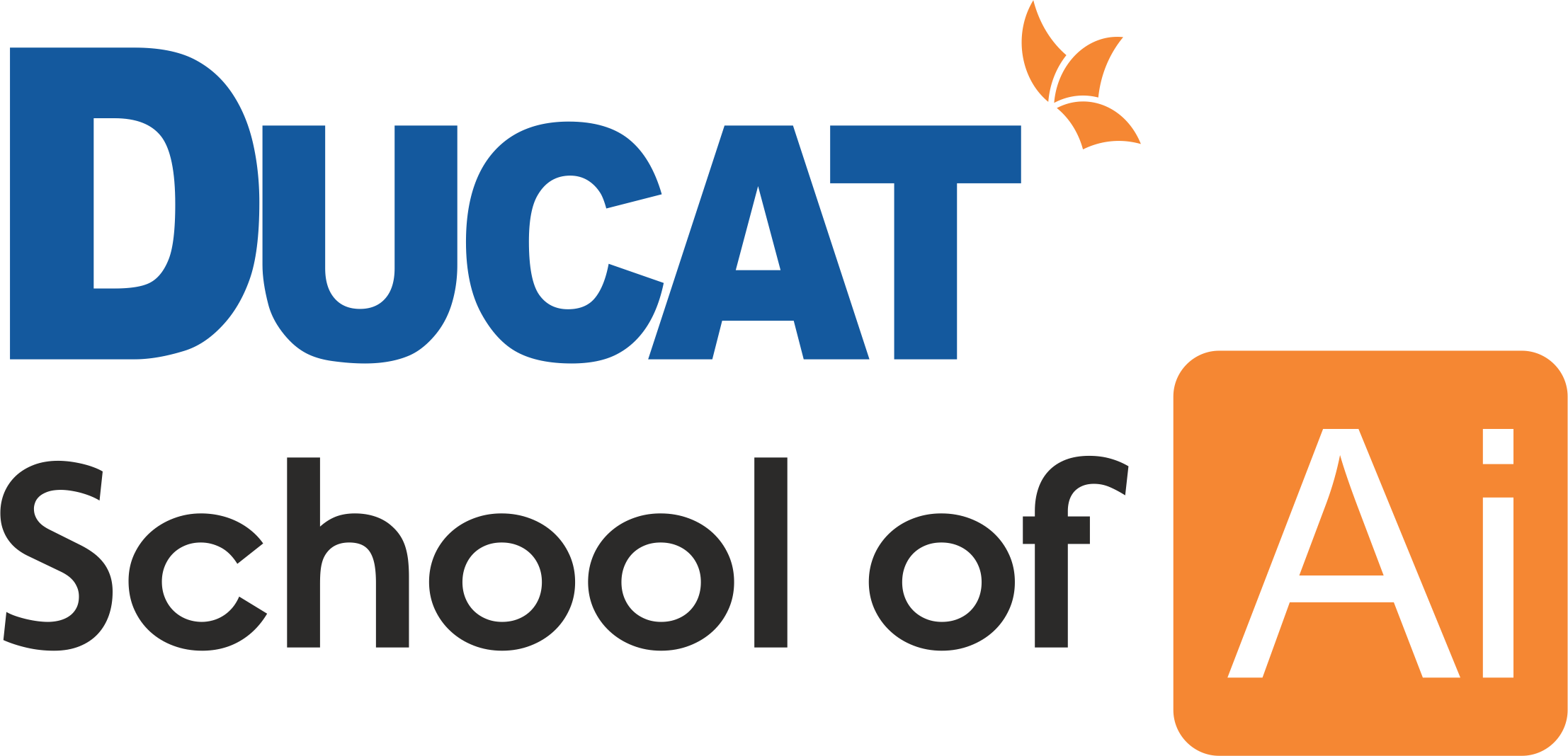 Ducat India logo